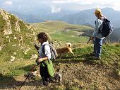 67 Ecco i Piani dell'Avaro